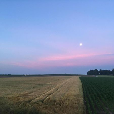 Im Idyll 3 Lägenhet Hengersberg Exteriör bild