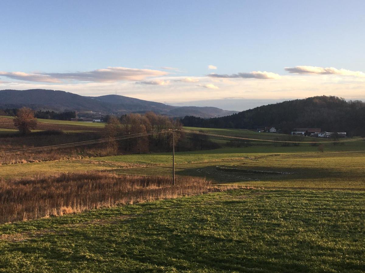 Im Idyll 3 Lägenhet Hengersberg Exteriör bild