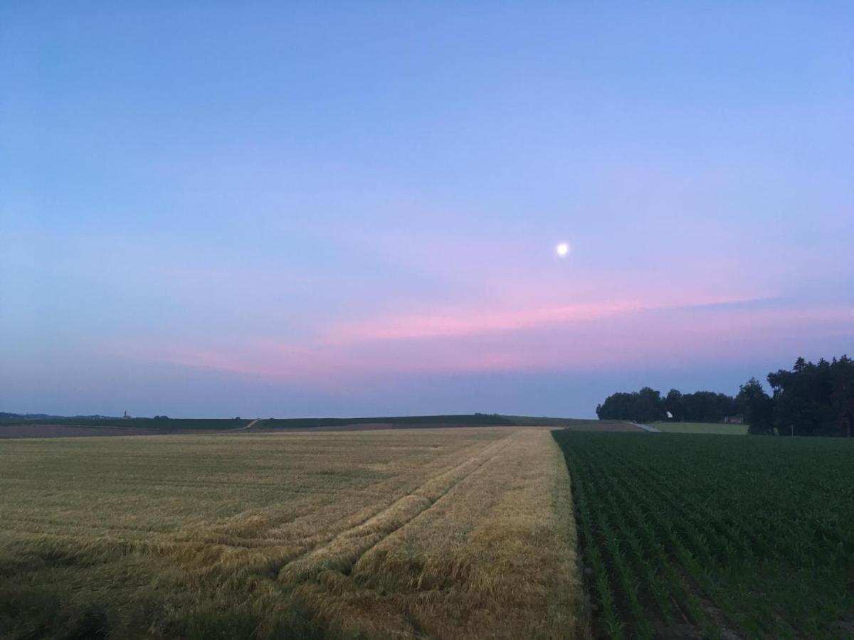 Im Idyll 3 Lägenhet Hengersberg Exteriör bild